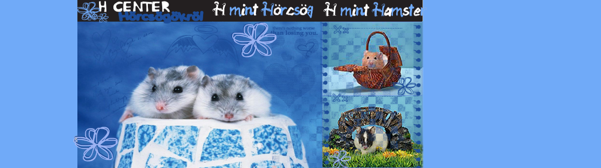 ●H center•      |H mint Hrcsg   H mint Hamster|